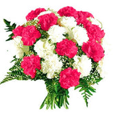 carnation_bouquet